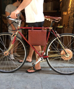 Rayvolt Ambassador Electric Bike - Grenache