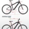 catalyst_960x (1)